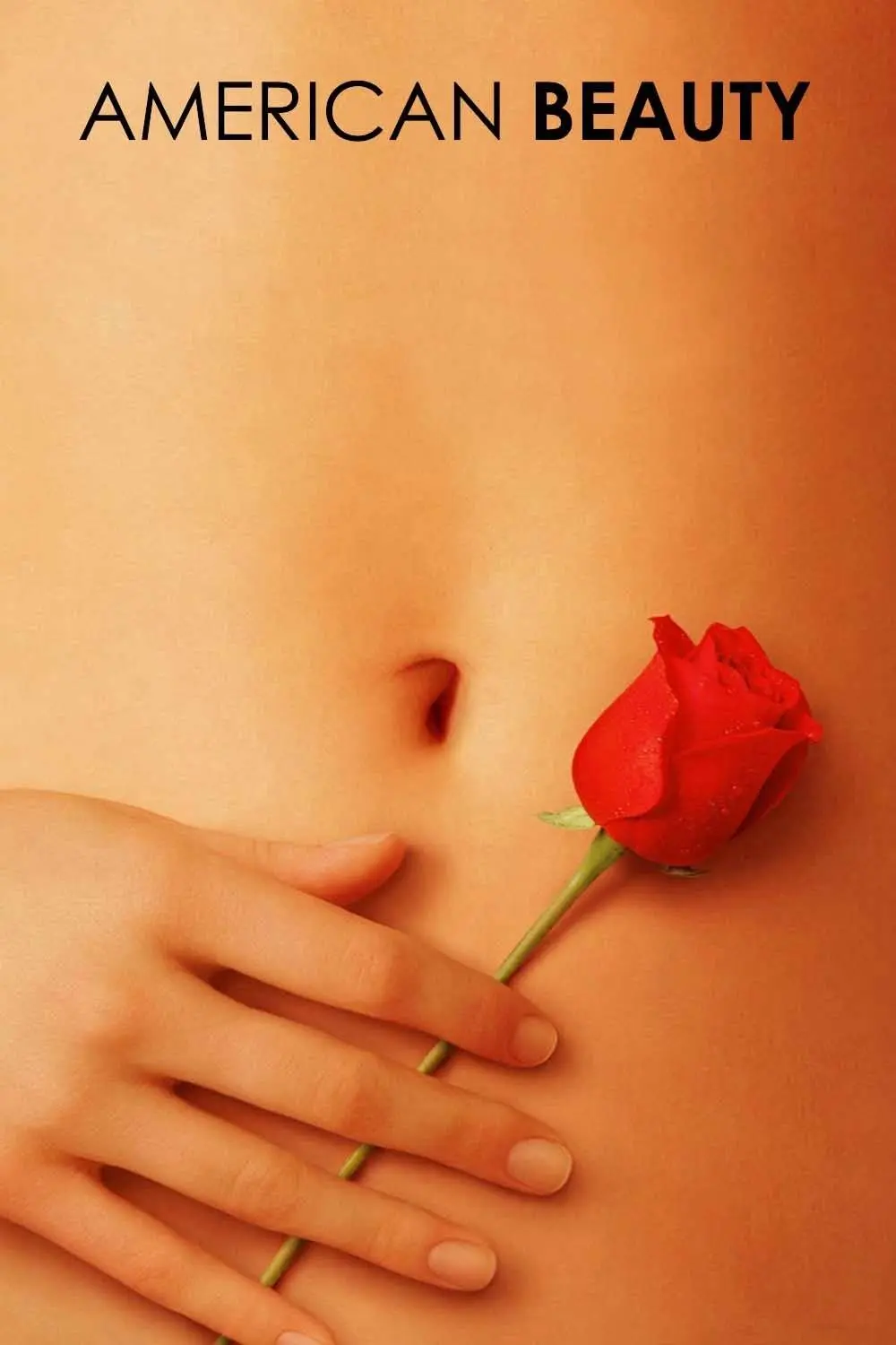 American Beauty poster image